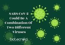 SARS-CoV-2 Could Be A Chimera Of Two Different Coronaviruses coronavirus is chimera of two viruses