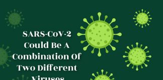 coronavirus is chimera of two viruses