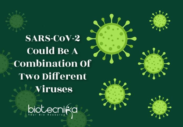 coronavirus is chimera of two viruses