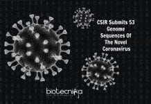 CSIR Submit 53 Genome Sequences Of Coronavirus To A Global Genome Database genome sequences of coronavirus by CSIR