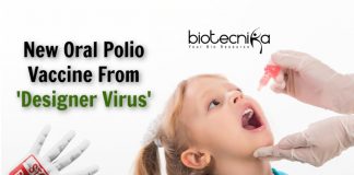new polio vaccine from modified virus