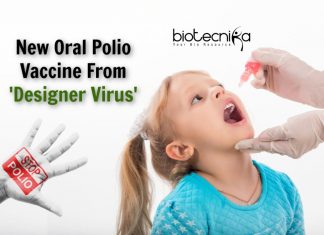 New Oral Polio Vaccine From ‘Designer Virus’ new polio vaccine from modified virus