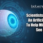 Artificial Eyes For Blinds And Robots