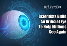Artificial Eyes For Blinds And Robots