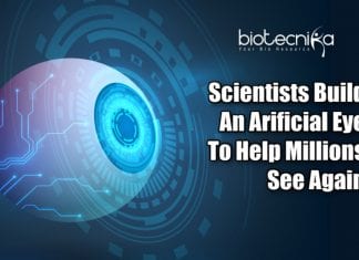 Artificial Eye As Sensitive As Human Eye Developed By Researchers Artificial Eyes For Blinds And Robots