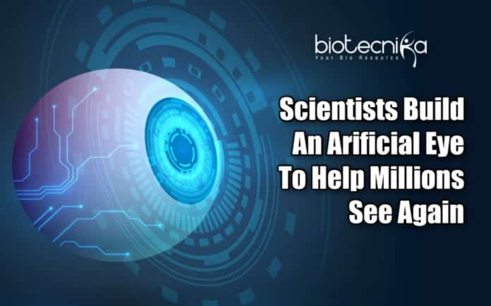 Artificial Eyes For Blinds And Robots