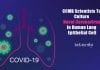 CCMB Scientists To Culture Novel Coronavirus In Human Lung Epithelial Cell culturing coronavirus in lung epithelial