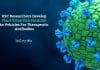 Plant VLPs as vehicles for antibodies