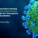 IISC Researchers Develop Plant Virus-like Particles As Vehicles For Therapeutic Antibodies Plant VLPs as vehicles for antibodies