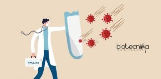 Analysis of immune response to SARS-CoV-2