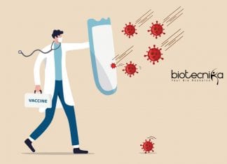 Detailed Analysis of Immune Response to SARS-CoV-2 Favors COVID-19 Vaccine Development Analysis of immune response to SARS-CoV-2