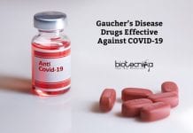 Israeli Defence Lab Scientists Find Gaucher’s Disease Drugs Effective Against COVID-19 New Drugs Found Effective Against Covid-19