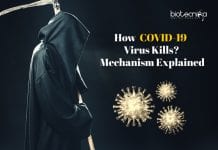 How COVID-19 Kills – Mechanism Explained By Scientists How Covid-19 kills patients