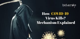 How Covid-19 kills patients