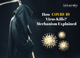 How COVID-19 Kills – Mechanism Explained By Scientists How Covid-19 kills patients
