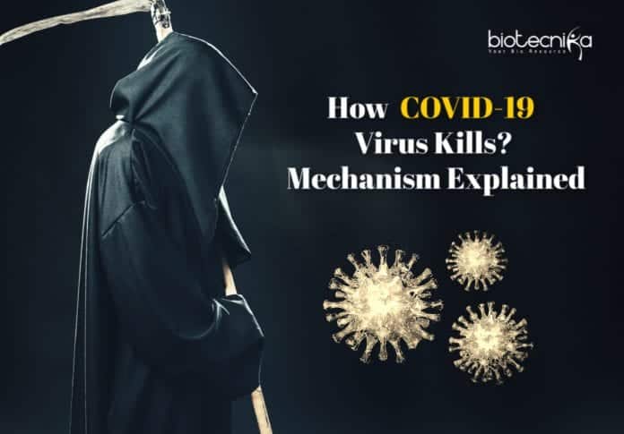 How Covid-19 kills patients