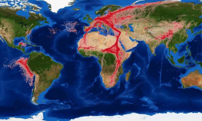 Human impact on wildlife