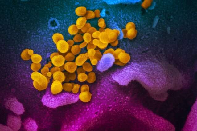 Children more resilient against coronavirus