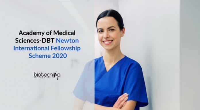 AMS-DBT Newton International Fellowship