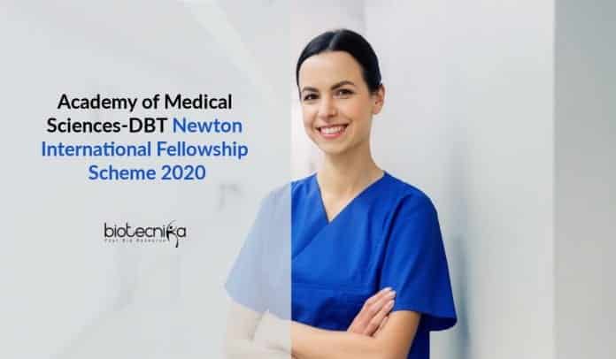 AMS-DBT Newton International Fellowship