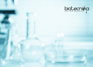 Amity University Biotechnology Project