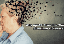 Fat Binding Protein – ApoE4 Rises the Risk of Alzheimer’s Disease ApoE4 Rises Threat of Alzheimer's