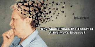 ApoE4 Rises Threat of Alzheimer's
