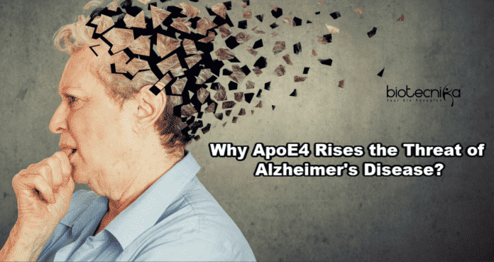 ApoE4 Rises Threat of Alzheimer's