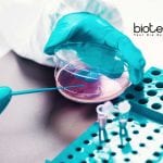 Bharathiar University Microbiology Research Fellow Job Opening Bharathiar University Microbiology Research