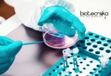 Bharathiar University Microbiology Research Fellow Job Opening Bharathiar University Microbiology Research