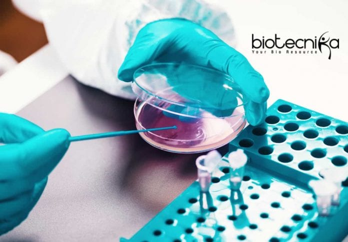 Bharathiar University Microbiology Research