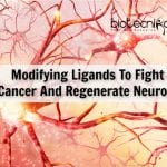Bioengineering Ligands To Fight Cancer