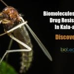 Biomolecules against drug resistance in Kala-azar