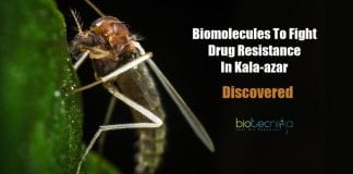 Biomolecules against drug resistance in Kala-azar