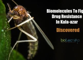 Biomolecules against drug resistance in Kala-azar