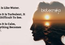 Biotecnika Times – Newsletter 03.06.2020 – CSIR COVID-19 Genomics Job, CSIR-SRTP 2020