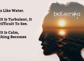 Biotecnika Times – Newsletter 03.06.2020 – CSIR COVID-19 Genomics Job, CSIR-SRTP 2020