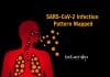 SARS-CoV-2 Infection Pattern In Respiratory Tract Mapped COVID-19 Infection Pattern