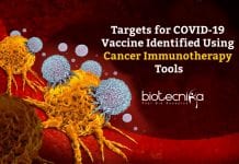 Cancer Immunotherapy Tools To Identify COVID-19 Vaccine Targets COVID-19 Vaccine Targets Using Immunotherapy Tools