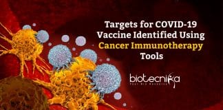 COVID-19 Vaccine Targets Using Immunotherapy Tools