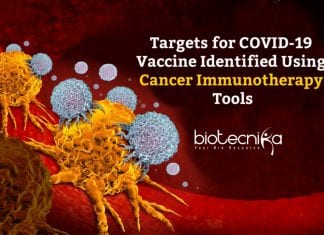 Cancer Immunotherapy Tools To Identify COVID-19 Vaccine Targets COVID-19 Vaccine Targets Using Immunotherapy Tools