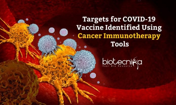 COVID-19 Vaccine Targets Using Immunotherapy Tools