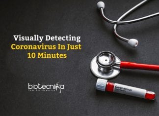 COVID-19 Test That Visually Detects Coronavirus In Just 10 Minutes COVID19 Detected Within 10 Minutes