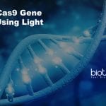CRISPR-Cas9 gene editing using light