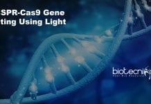 CRISPR-Cas9 Gene Editing Using Light: Breakthrough Research CRISPR-Cas9 gene editing using light