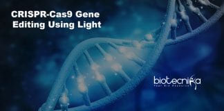 CRISPR-Cas9 gene editing using light