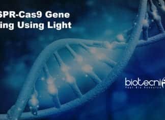 CRISPR-Cas9 gene editing using light