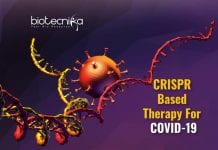 CRISPR Based Therapy To Fight COVID-19 By Stanford Scientists CRISPR to fight COVID-19