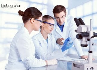 CSIR-CSMCRI Project Assistant Job