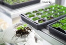 CSIR-IHBT Junior Research & Project Fellow Recruitment CSIR-IHBT Botany Jobs